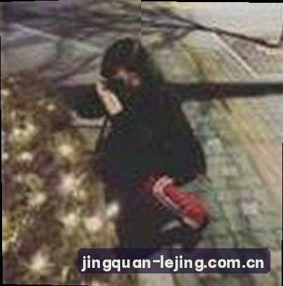 陈总